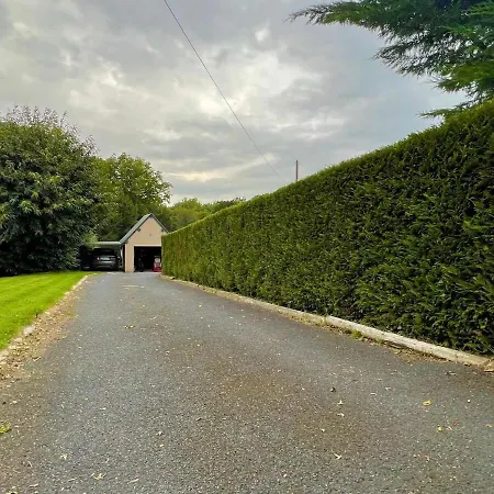 Peaceful House - - Babyfoot - Forest Ablon