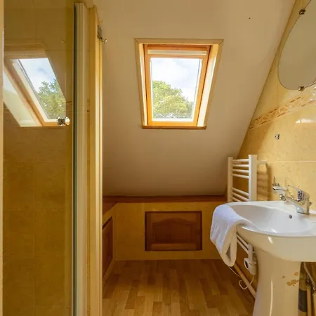 Peaceful House - - Babyfoot - Forest Villa