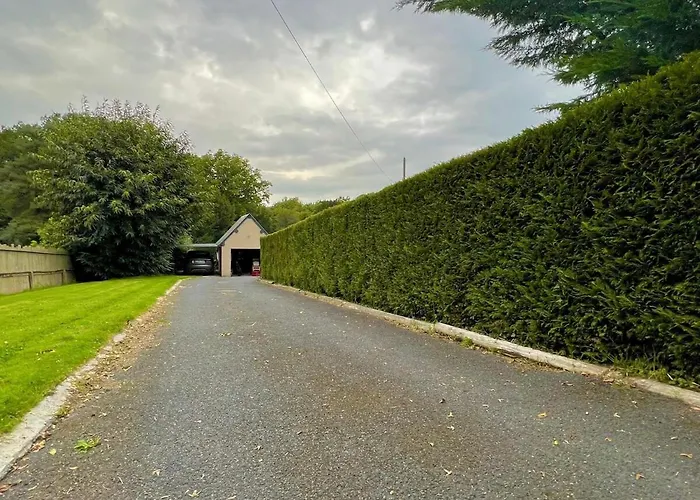 Peaceful House - - Babyfoot - Forest Ablon